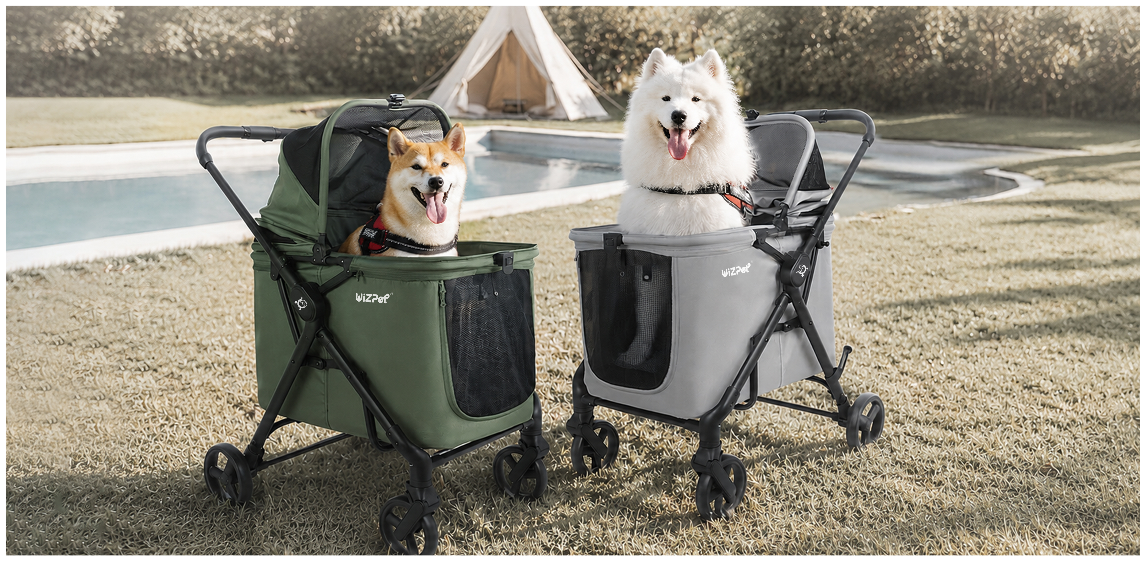 Pet Mobility