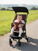 Whizbebe Huizhi Baby stroller lightweight baby walking tool HC200-L