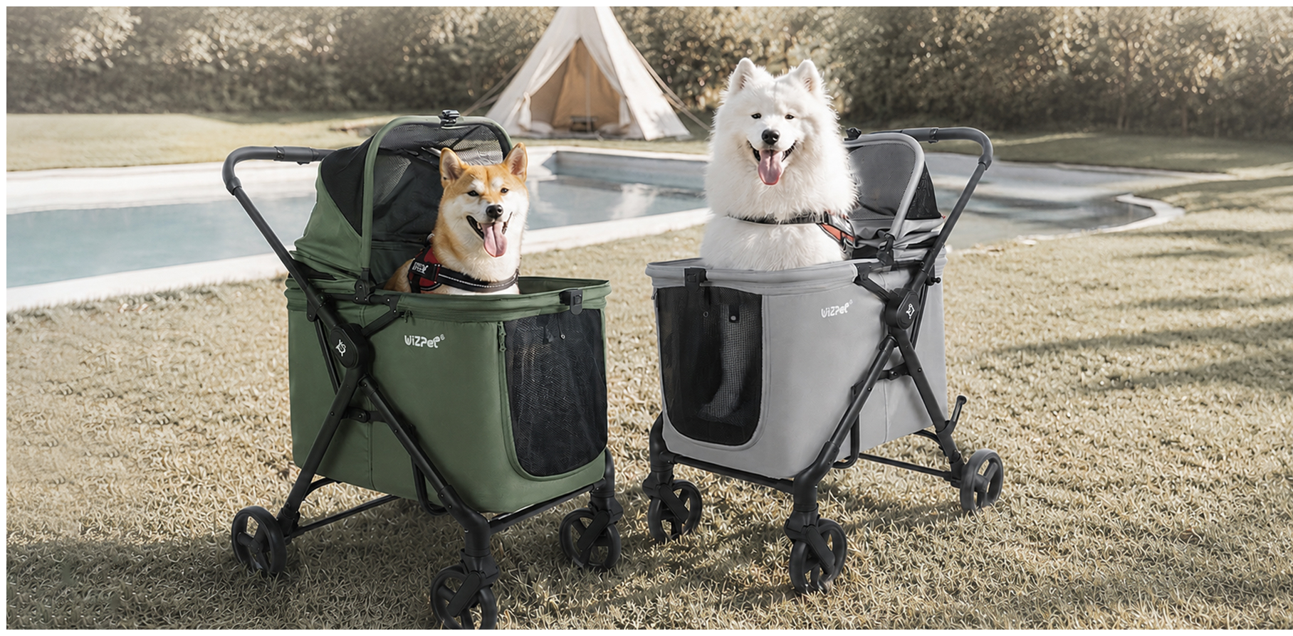 Pet Mobility