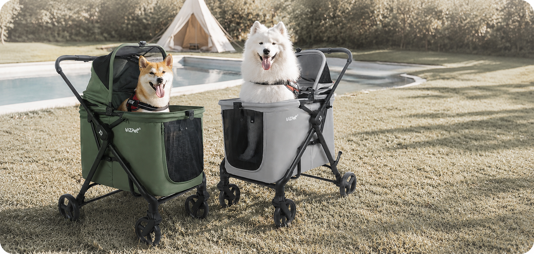 Pet Mobility